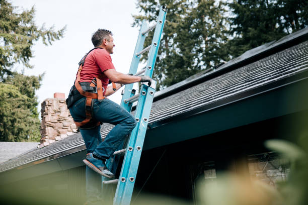 Best Steel Roofing  in Milaca, MN